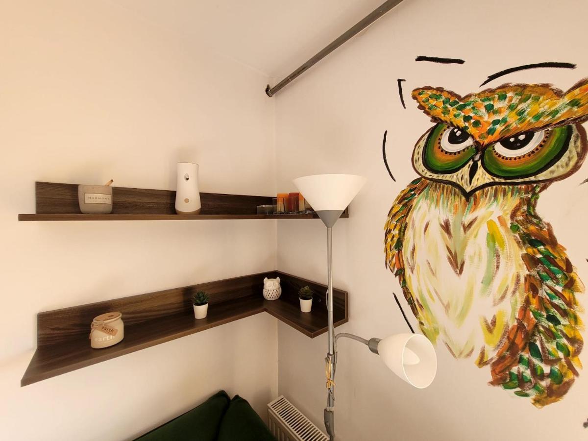 Dds Apartment Braşov Eksteriør billede