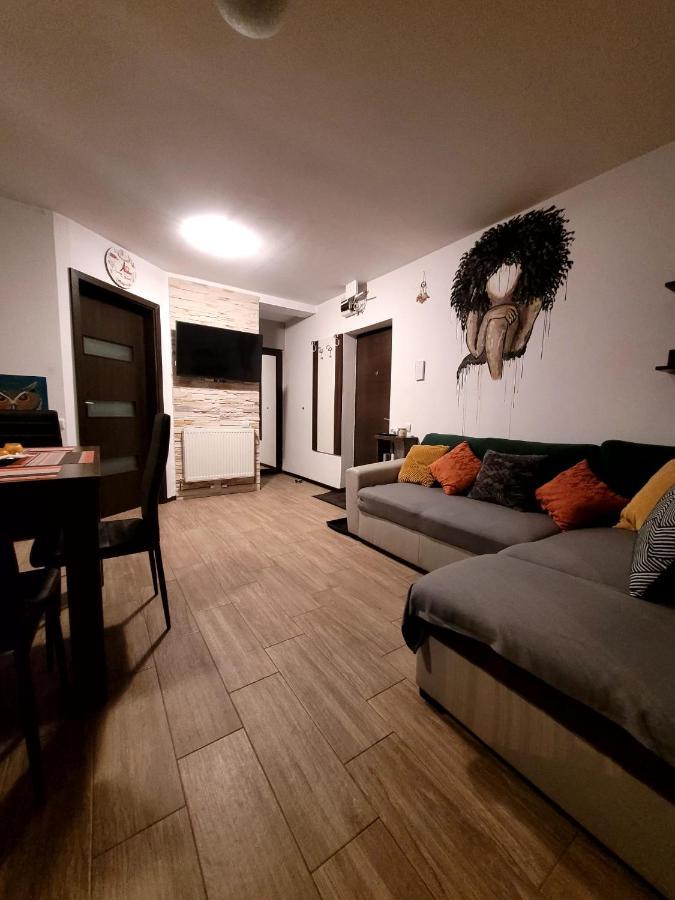 Dds Apartment Braşov Eksteriør billede