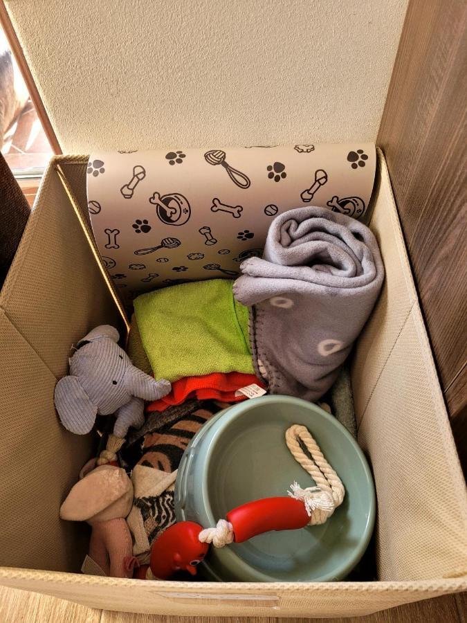 Dds Apartment Braşov Eksteriør billede